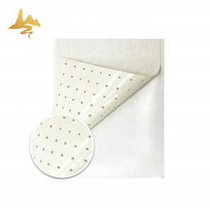 Parche para aliviar el <span class=keywords><strong>dolor</strong></span> <span class=keywords><strong>de</strong></span> espalda, apósito <span class=keywords><strong>de</strong></span> Capsicum <span class=keywords><strong>de</strong></span> tigre para reuma, producto al por mayor - Product Image 3