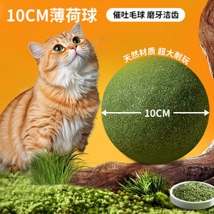 Balle à chat à la catnip 10 cm pour le nettoyage des dents, jouet pour chat pour les soins dentaires, à mâcher pour animaux de compagnie - Product Image 4