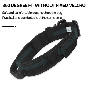 <span class=keywords><strong>Collar</strong></span> de entrenamiento para perros multicolor personalizado, <span class=keywords><strong>Collar</strong></span> elástico de nailon para perros, <span class=keywords><strong>Collar</strong></span> de hardware con hebilla de Metal para perros medianos y grandes - Product Image 5