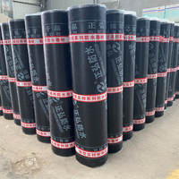 Membrane d'étanchéité en bitume modifié SBS de haute qualité, rouleau de 10 m de long, garantie 5 ans, pour l'étanchéité des toitures