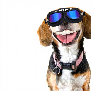 Lunettes <span class=keywords><strong>de</strong></span> <span class=keywords><strong>soleil</strong></span> et lunettes <span class=keywords><strong>de</strong></span> protection pour chiens, <span class=keywords><strong>de</strong></span> luxe, solides, classiques, rétro, rondes, écologiques en PVC/PC, avec logo couleur personnalisé, pour toutes les saisons - Product Image 1