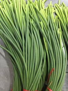 Nouvelle culture de légumes chinois de <span class=keywords><strong>tige</strong></span> d'<span class=keywords><strong>ail</strong></span> frais/pousse d'<span class=keywords><strong>ail</strong></span> frais/<span class=keywords><strong>tige</strong></span> de germe d'<span class=keywords><strong>ail</strong></span> frais en paquet de germes d'<span class=keywords><strong>ail</strong></span> vert - Product Image 3