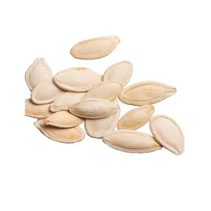 Poudre de citrouille séchée par pulvérisation de haute qualité, poudre végétale naturelle pour l'industrie alimentaire, produits de boulangerie, boissons instantanées - Product Image 2