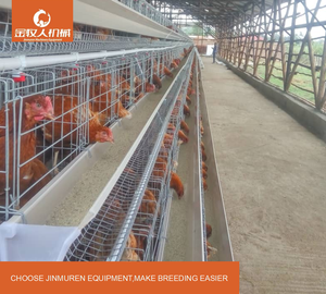 Cage à <span class=keywords><strong>poules</strong></span> pondeuses 4 niveaux 128 oiseaux, type batterie, en acier galvanisé antirouille pour élevage avicole - Product Image 1