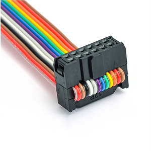 맞춤형 전자제품 2.54mm 피치 USB 10핀 소켓 - 10핀 커넥터 PVC 플랫 레인보우 케이블 어셈블리 공장 배선 하네스 - Product Image 1
