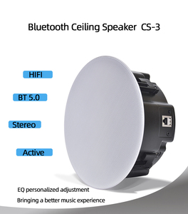 CS-<strong>3</strong> Wireless Blue Tooth Ceiling <strong>Speaker</strong> BT 5.0 / AUX / USB Active <strong>Speaker</strong> for Home Theater System and Restaurant - Product Image 6