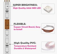 Lampu Strip Fleksibel 100m 5050 SMD LED RGB IP67 Tahan Air WS2811 Plastik untuk Lanskap dengan Remote Kontrol 110V 220V
