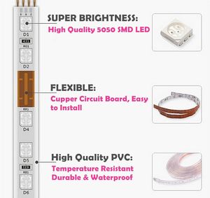 Tira de Luz LED RGB SMD 5050 de 100m, Impermeable IP65, de Plástico, para Paisajismo, con Control Remoto, 110V 220V, Flexible - Product Image 2