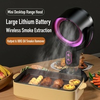 Mini Hotte de Cuisine Électrique de Bureau Portable avec Filtre à Ions Négatifs pour Fumée d'Huile, Forte Aspiration pour Usage Domestique