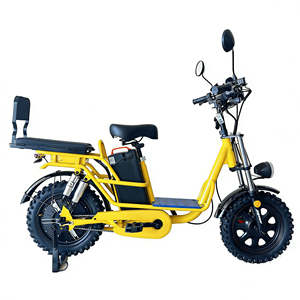 Bicicletta Elettrica Modello Russo da 16 Pollici Senza Batteria, Antiscivolo, per Adulti, Ideale per Consegne a Domicilio - Product Image 3