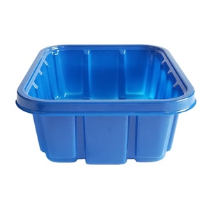 Customized Blue PET Disposable Plastic Mushroom Packaging Box