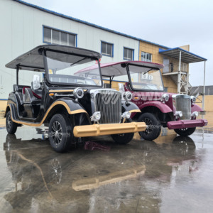 Voiture électrique classique rétro homologuée CE, 6 places, alimentée par batterie, pour parcs d'attractions et zones touristiques - Product Image 4