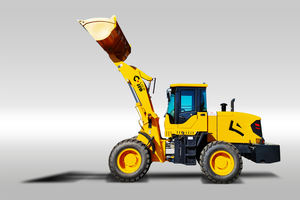 Cargador de demolición de espacio estrecho de nuevo diseño con gran precio - Product Image 6