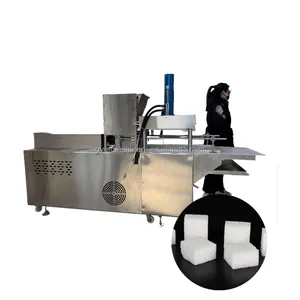 Jaggery Maken Machines Automatische Bruin Kubus Suiker Machine Productielijn