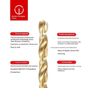 Punta da Trapano Extra-Lunga in Acciaio HSS al Cobalto, con Attacco Cilindrico, Diametro 250 Millimetri - Product Image 2