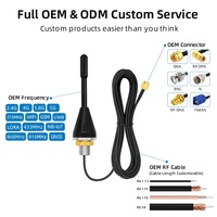 Antenne de passerelle 2.4G LTE LoRa avec service de bande personnalisée pour armoires de communication industrielle et équipements de télémétrie