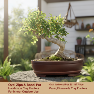 Maceta ovalada Zisha para bonsái de 25x18x7.5cm, hecha a mano, de arcilla, para uso en interiores y exteriores. - Product Image 3