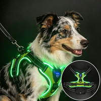 Harnais LED pour chien, harnais lumineux pour animaux de compagnie, harnais réglable en maille respirante pour chiens de petite, moyenne et grande taille, promenade nocturne