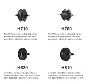 <span class=keywords><strong>Kit</strong></span> de conversion de vélo électrique 48V 1000W 26 pouces <span class=keywords><strong>Roue</strong></span> avant/arrière Moteur puissant <span class=keywords><strong>Kit</strong></span> de conversion de vélo électrique <span class=keywords><strong>Kit</strong></span> de moteur <span class=keywords><strong>Bafang</strong></span> H720 H710 - Product Image 2