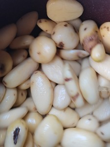 Industriale di <span class=keywords><strong>patate</strong></span> peeling e macchina di taglio di <span class=keywords><strong>patate</strong></span> rondella patata peeler e taglierina - Product Image 6