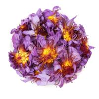 Thé de fleurs de lotus bleues séchées naturellement en sachets, thé santé au parfum délicat pour la vitalité et les soins de la peau