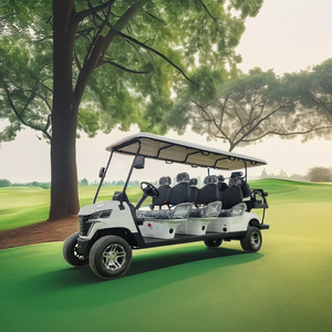 8 posti elettrico Golf Cart Buggy prezzo a buon mercato strada legale con Curtis AC Controller 60V motore Driver per la caccia Golf - Product Image 6