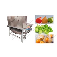 Machine à peler les feuilles de tomates vertes en acier inoxydable Mexique Amérique