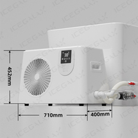 Bain de récupération à immersion froide avec réfrigérateur d'eau 1Hp certifié CE, bain de glace, réfrigérateur de bain d'immersi