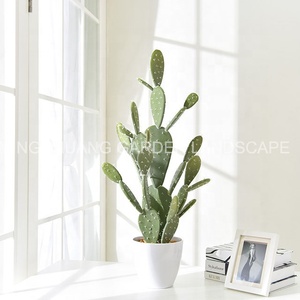 Nuevo estilo Cactus artificial Ajustes para el hogar Cactus falso decorativo <span class=keywords><strong>Bonsai</strong></span> Faux <span class=keywords><strong>Pera</strong></span> Espinosa a prueba <span class=keywords><strong>de</strong></span> agua para decoración interior - Product Image 6