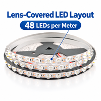 Bande LED 24V 2835 avec lentille, 48 LED par mètre, 19W par mètre, options monochromes pour projets d'éclairage intérieur