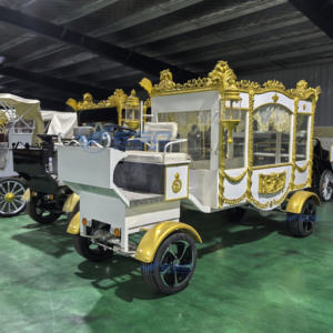 Véhicule de transport spécial 2026, Carrosse funéraire classique électrique pour chevaux, pour cercueil - Product Image 1