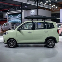 Tricycle électrique à carrosserie fermée, nouvelle énergie, 3 roues, pour passagers, véhicule électrique familial pour les trajets quotidiens
