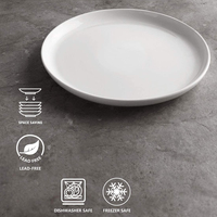 Lot de 2 Assiettes Plates Rondes Blanches Incassables de Qualité Supérieure pour Restaurant, Vaisselle en Mélaminé