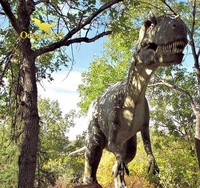 Yaşam boyutu Dinosair Dinossauros Em Tamanho gerçek Modelo De Esqueleto Marioneta Dinosario gerçek