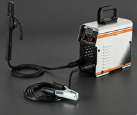 Machine à souder portable TIG/Stick 165A 110V/220V pour l'acier inoxydable et la fonte, utilisation automobile/de construction RXC