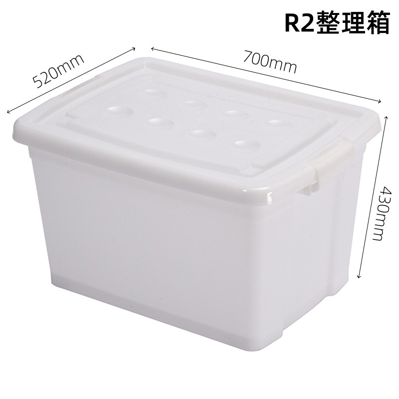 White R2 storage box