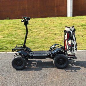 Carrito de Golf Eléctrico de 4000W, Buggy de Playa Cómodo 4x4, Batería de Litio de 60V, Tracción en las Cuatro Ruedas para Club de Golf, Asociación al Aire Libre - Product Image 1