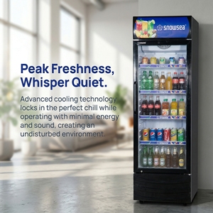 Réfrigérateur vertical pour boissons, <span class=keywords><strong>vitrine</strong></span> commerciale à porte vitrée simple pour les acheteurs en gros - Product Image 2