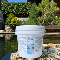 Poudre de régulateur de pH pour piscine, alcalinité totale plus, tampon de pH de l'eau, produits chimiques pour piscine