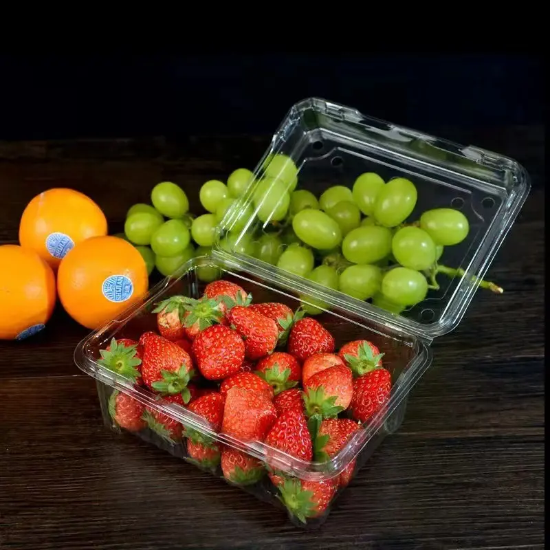 Wholesale 500g PET Plastic Fruit Packaging Box Food Container for Vegetable Fruit Transparent Blister Clamshell Box