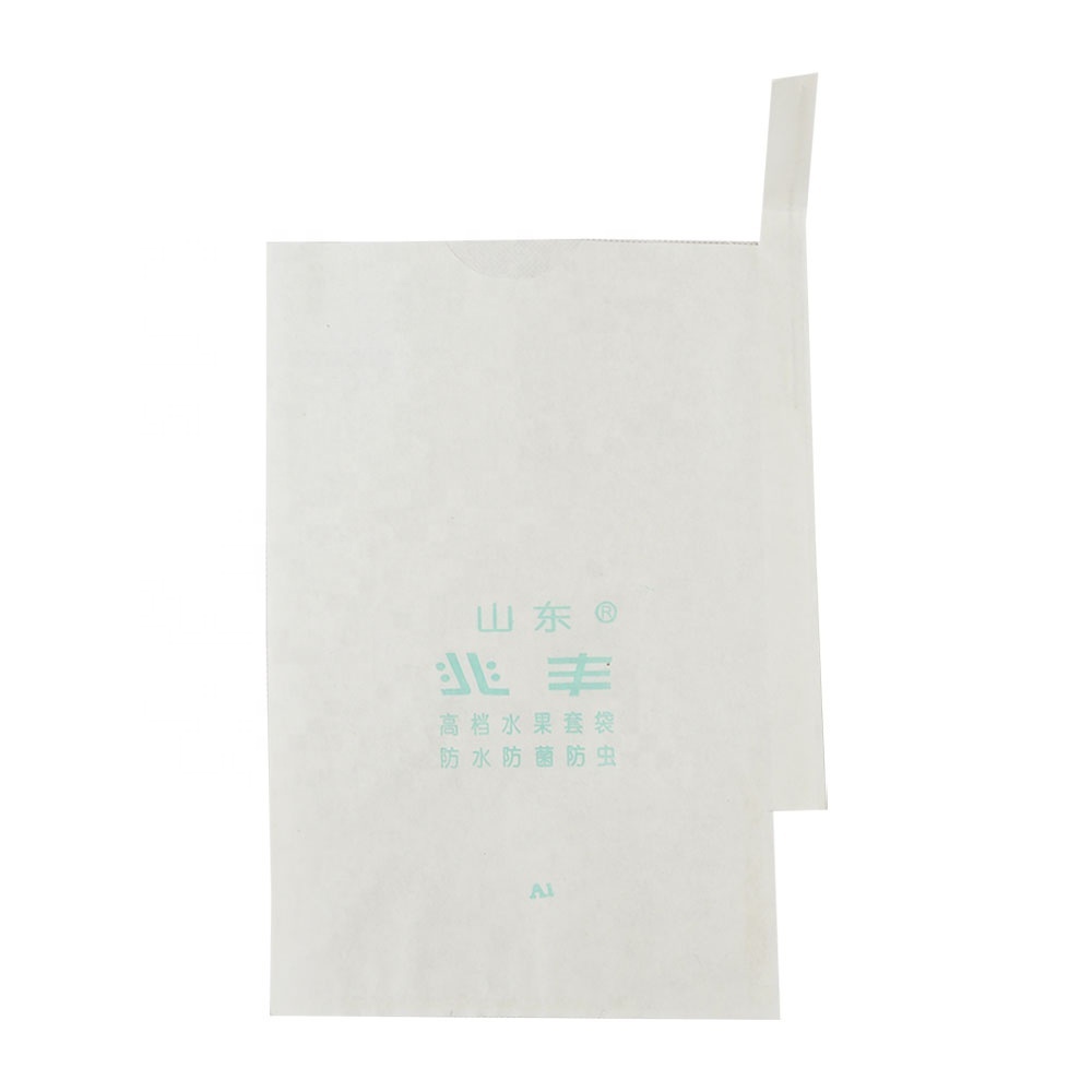 Fruta papel de protección bolsa guayaba creciente bolsa de papel
