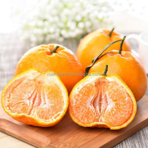 Tangerine chinoise Chunjian Dekopon, orange, agrumes frais de qualité supérieure, sucrés <span class=keywords><strong>et</strong></span> juteux, provenant du Sichuan, Chine - Product Image 3