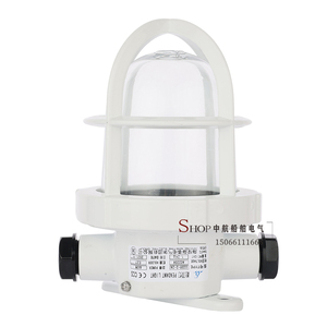 ไฟโดมห้องโดยสารแบบหลอดไส้ Haixing Marine รุ่น CCD9-2-2N 220V 60W ได้รับการรับรองมาตรฐาน CCS โคมไฟกันน้ำ - Product Image 4