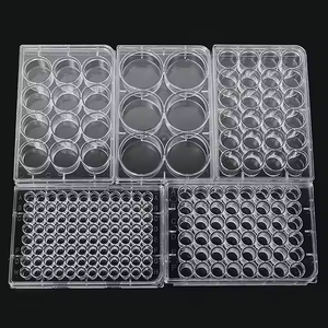 EO <span class=keywords><strong>6</strong></span> <span class=keywords><strong>Well</strong></span> 12 <span class=keywords><strong>Well</strong></span> 24 <span class=keywords><strong>Well</strong></span> 48 <span class=keywords><strong>Well</strong></span> 96 <span class=keywords><strong>Well</strong></span>, pelat budaya jaringan penumbuh sel plastik, piring untuk Lab - Product Image 4