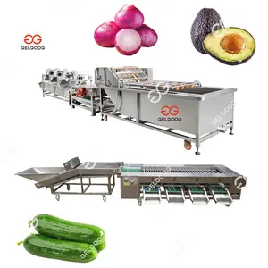 آلة فرز خيار الأوكرا مستديرة دوارة للفواكه والخضروات والبصل والبطاطس والأفوكادو