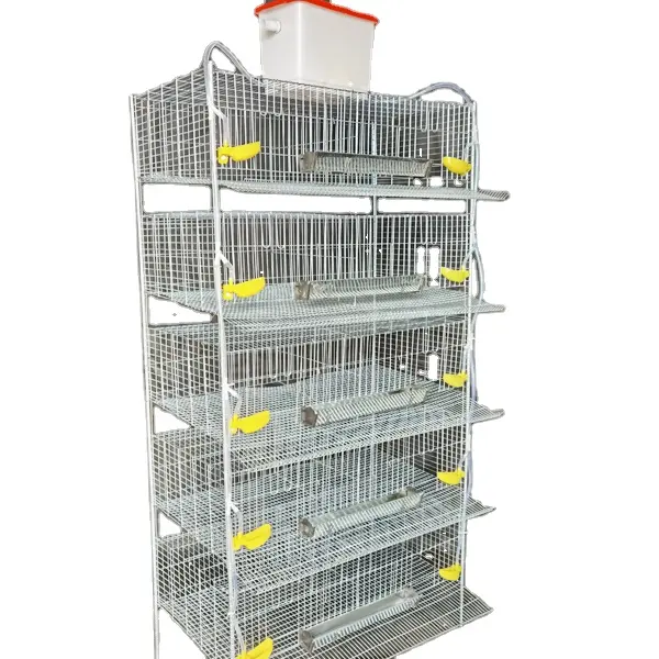 Stainless Steel Quail Chicken Battery Cage Boiler Cage for Sale