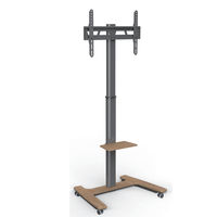 Support de télévision mobile sur pied, réglable en hauteur, avec étagère pour appareils, pour usage résidentiel intérieur multi-scènes