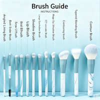 Ensemble de 12 pinceaux de maquillage Clear Sky, poils synthétiques, manches en plastique - Ensemble complet pour le visage, les yeux, l'eye-liner, les poudres