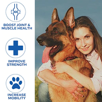 Poudre de renforcement musculaire et de soutien articulaire haute puissance pour chiens, glucosamine, chondroïtine, oméga-3 pour animaux de compagnie