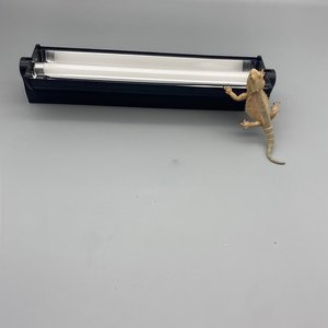 Kit d'éclairage UVB 1FT T5 HO 24W, spectre complet, lampe tubulaire pour reptiles et amphibiens, luminaire de terrarium de qualité supérieure OEM pour l'élevage - Product Image 1